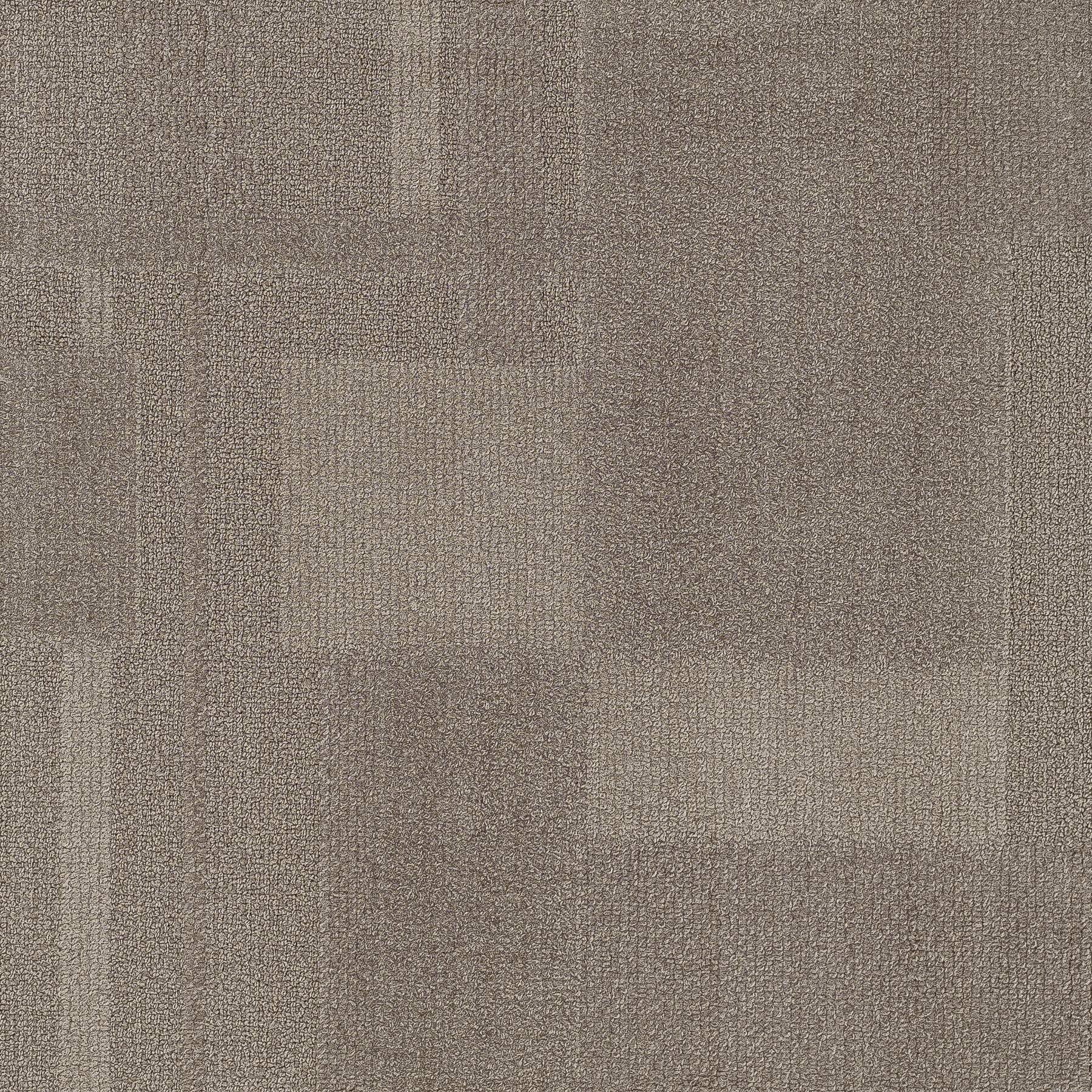 Vivid 202 - Always Buff