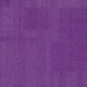 Vivid 202 - Amethyst Jewel