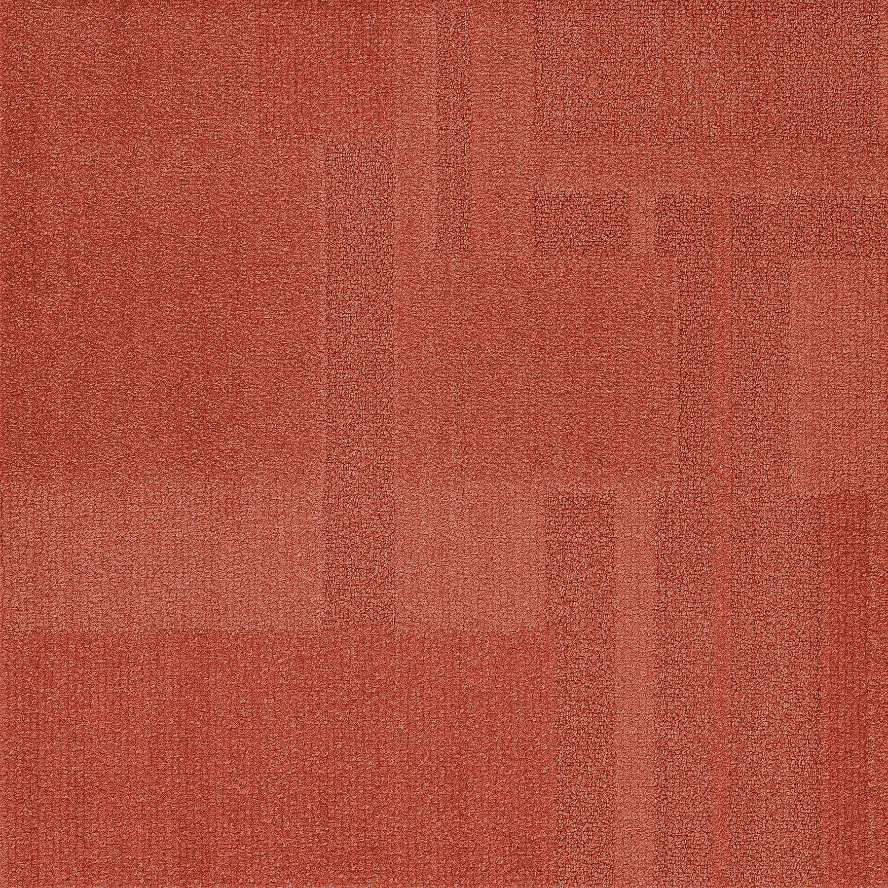 Vivid 202 - Apricot Nectar