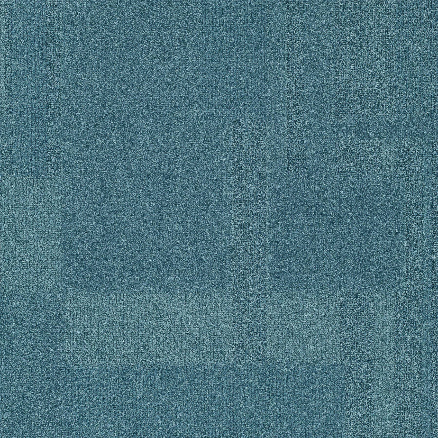 Vivid 202 - Arctic Winds