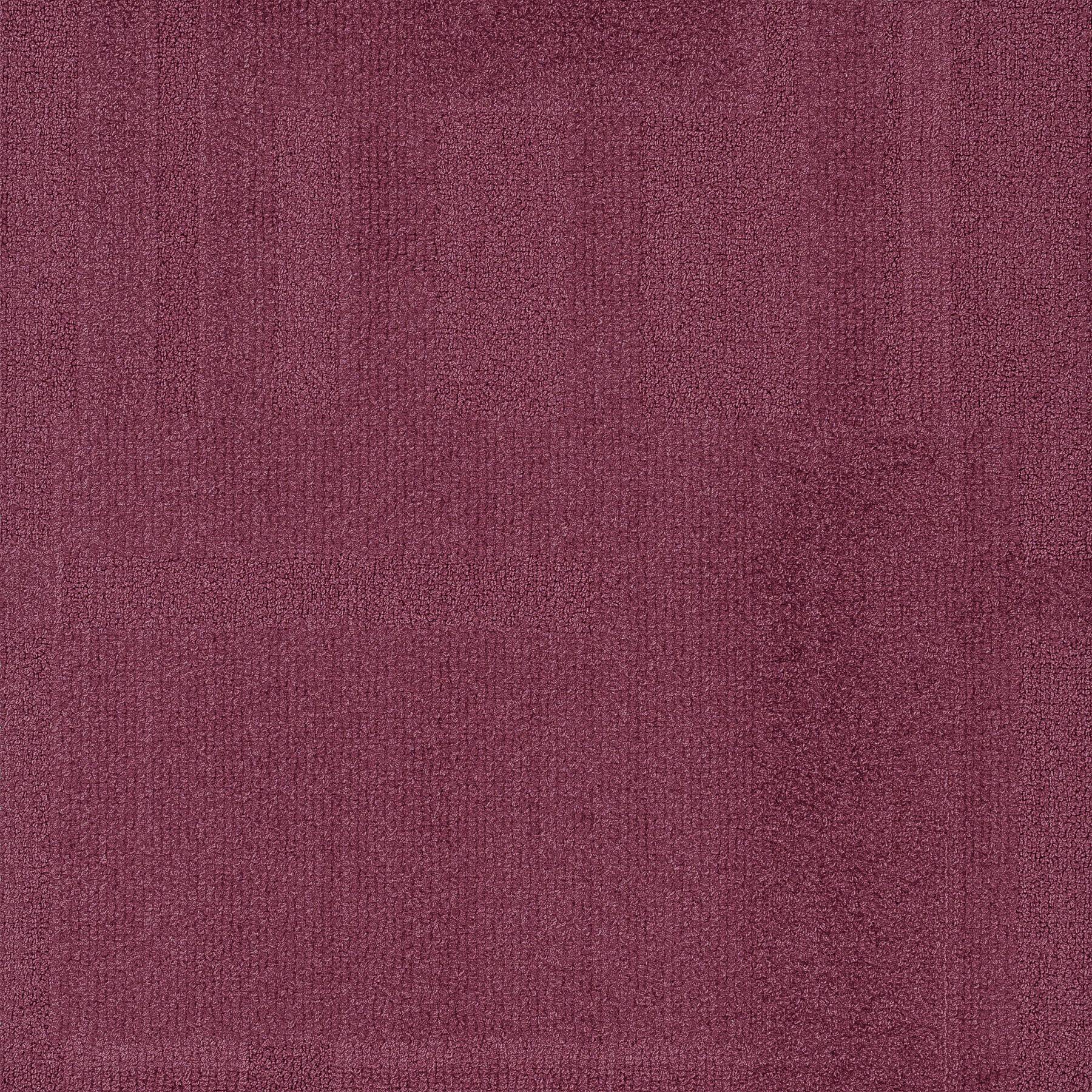 Vivid 202 - Awkward Orchid