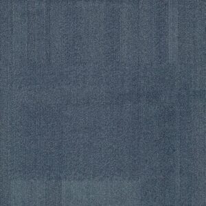 Vivid 202 - Baby Shark