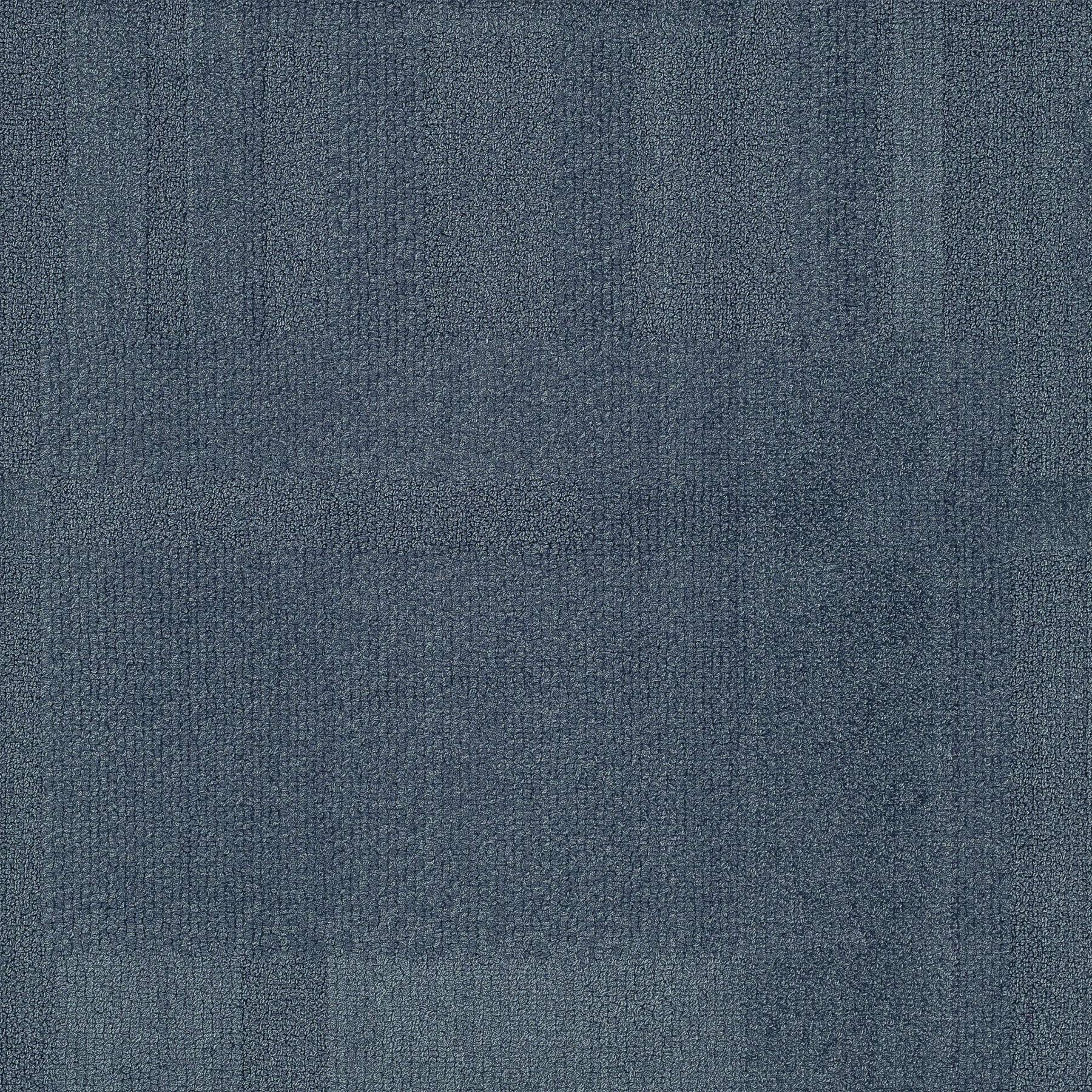 Vivid 202 - Baby Shark