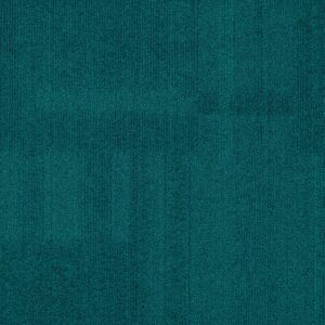 Vivid 202 - Barrier Reef