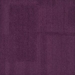 Vivid 202 - Beetroot Dip