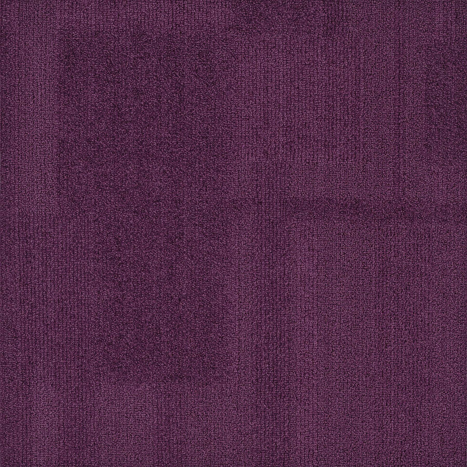 Vivid 202 - Beetroot Dip