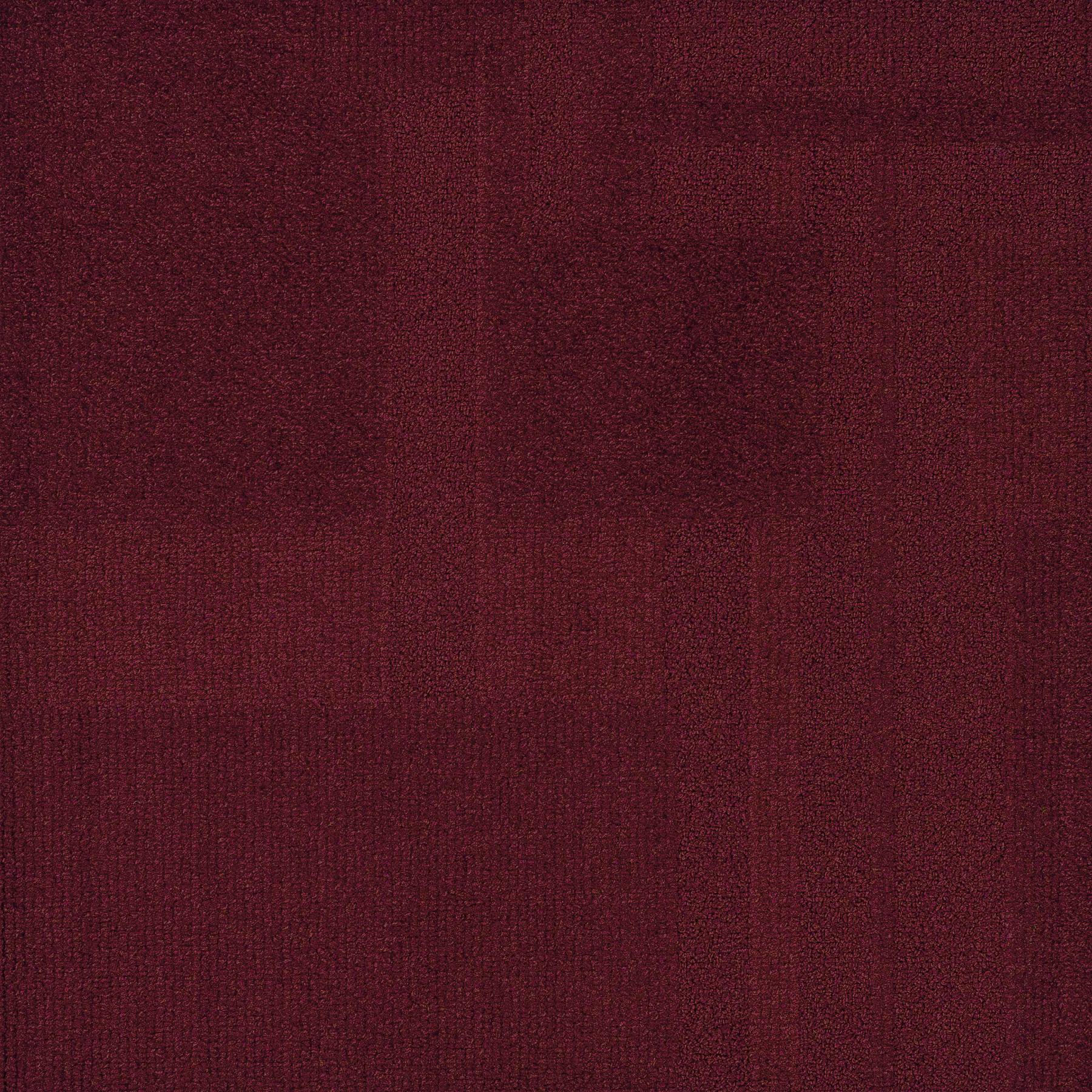 Vivid 202 - Bitter Blood