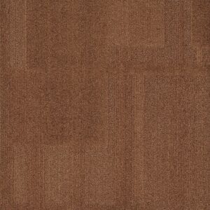 Vivid 202 - Brazilian Bronze