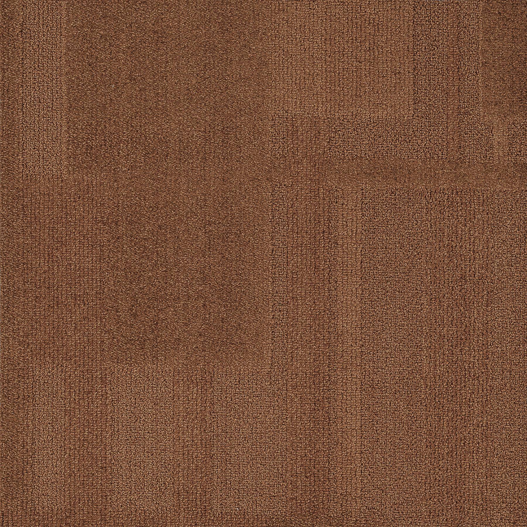 Vivid 202 - Brazilian Bronze