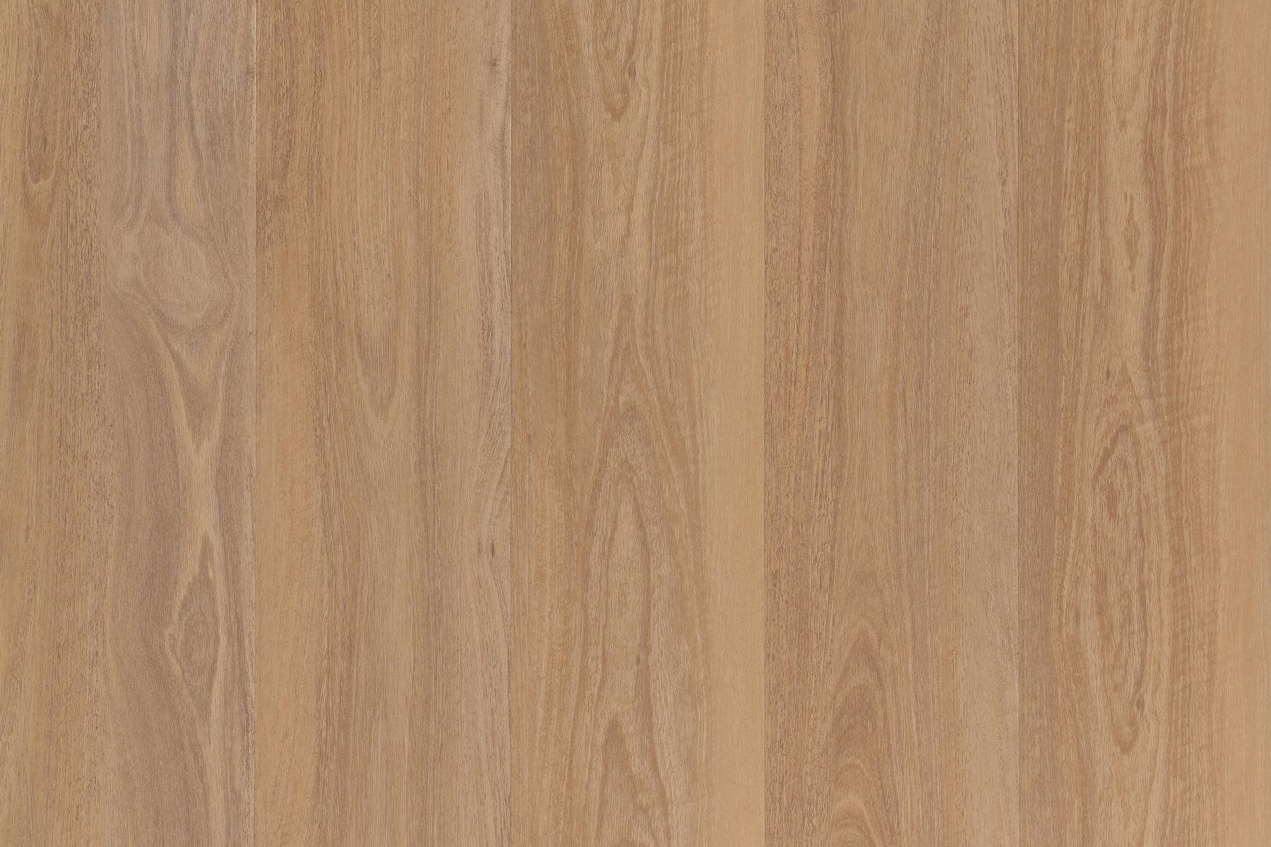 Wood 2.5 - Cowra Spotted Gum