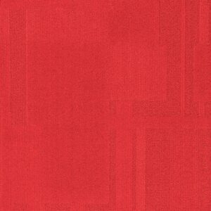 Vivid 202 - Calypso Clash