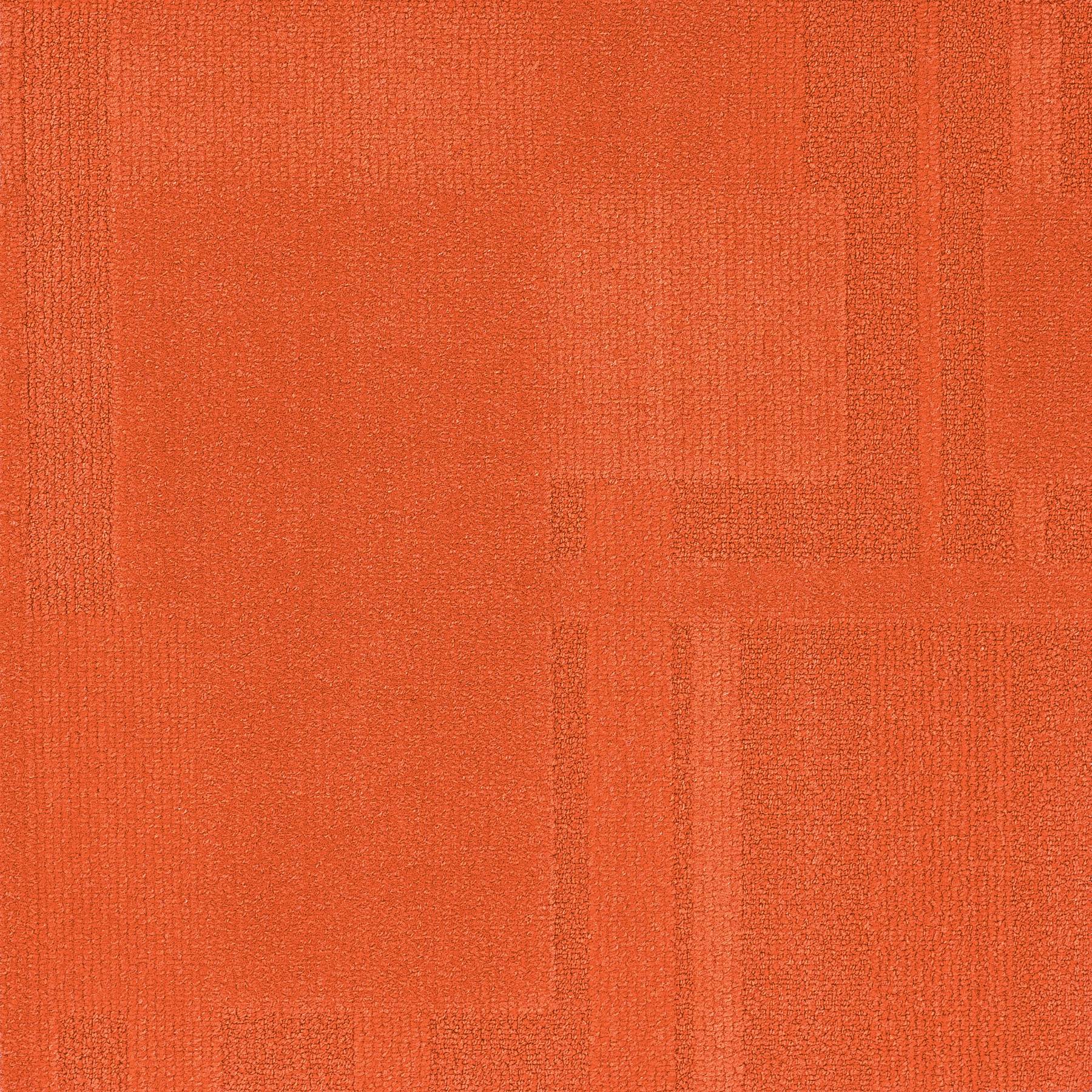 Vivid 202 - Carrot Cake