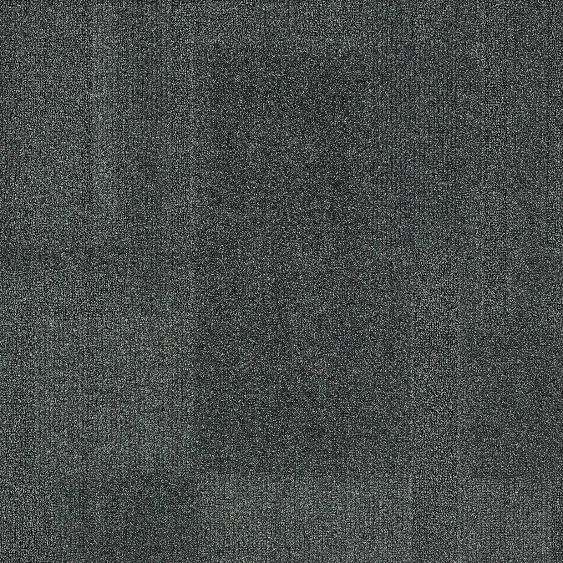 Vivid 202 - Cement The Deal