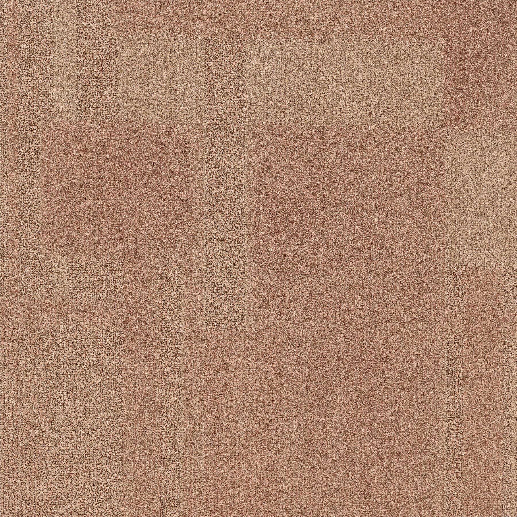 Vivid 202 - Champagne Taste