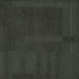 Vivid 202 - Charcoal Chicken