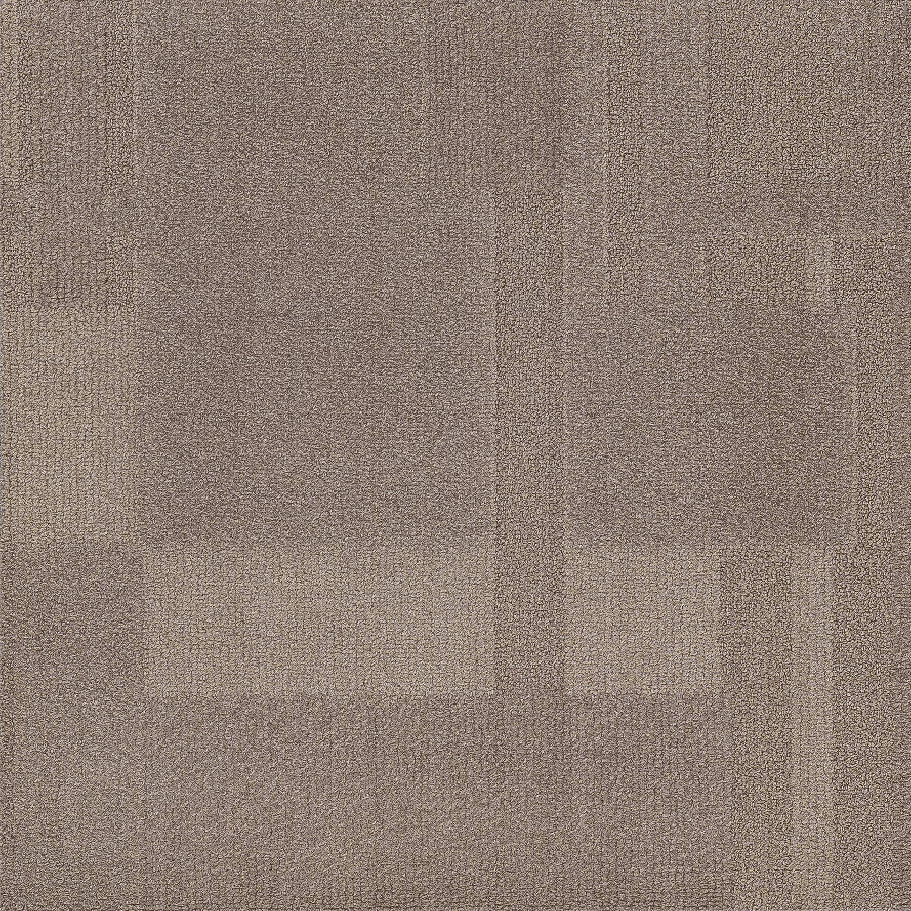 Vivid 202 - Cookie Dough