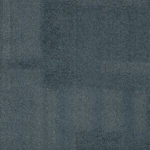 Vivid 202 - Cool Cats