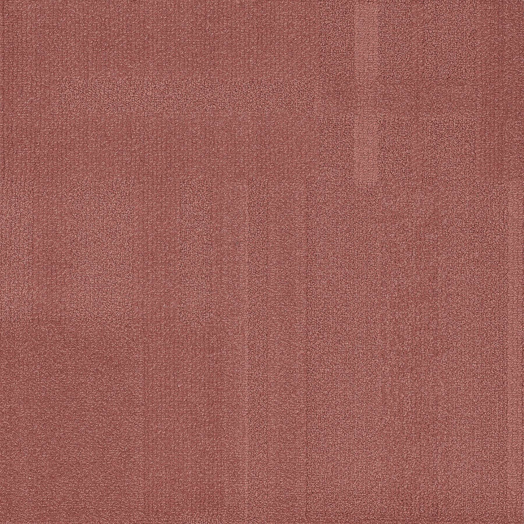 Vivid 202 - Coral Coast