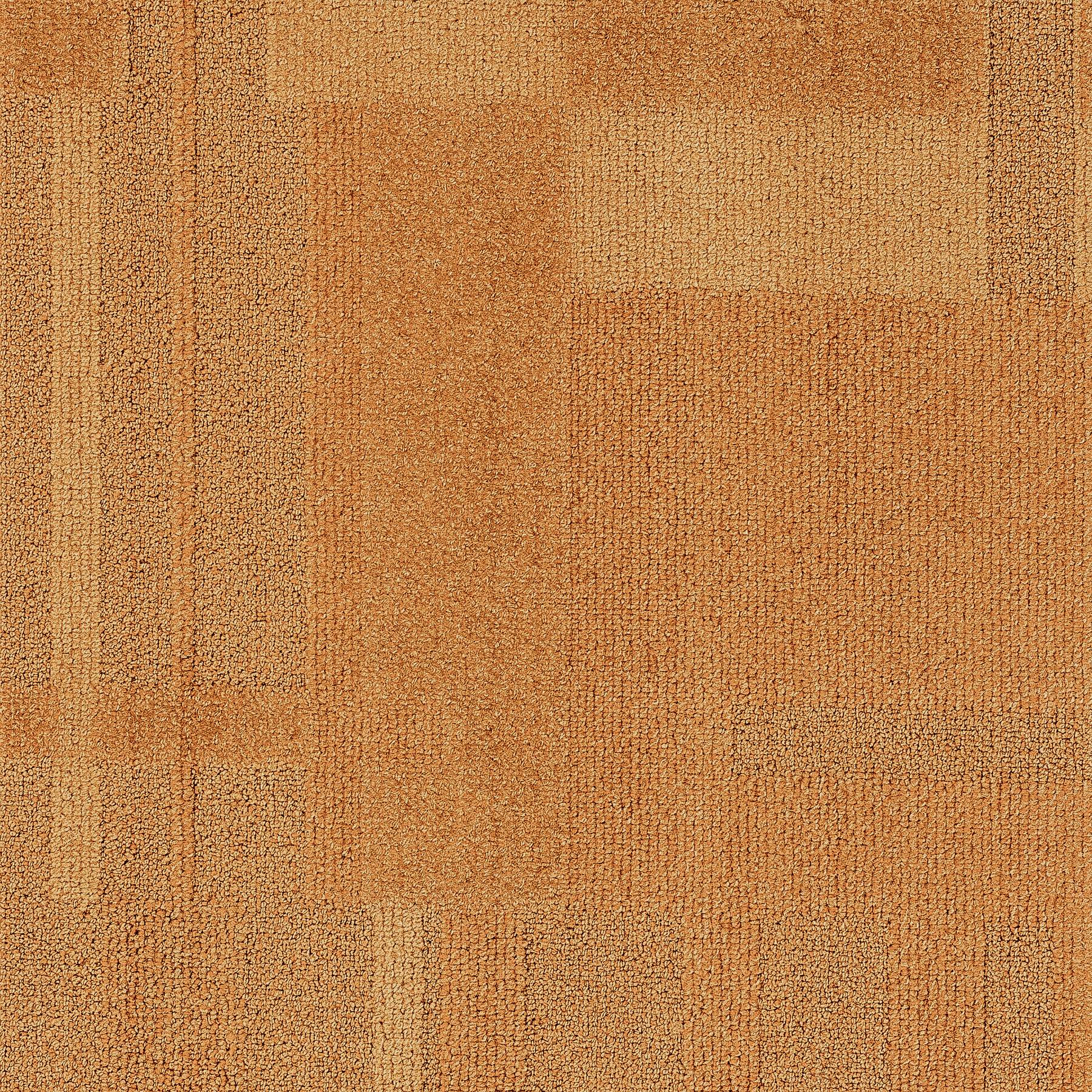 Vivid 202 - Corn Flakes