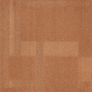 Vivid 202 - Crème Brulee