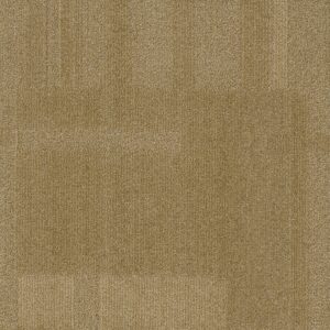 Vivid 202 - Crunchy Cashew