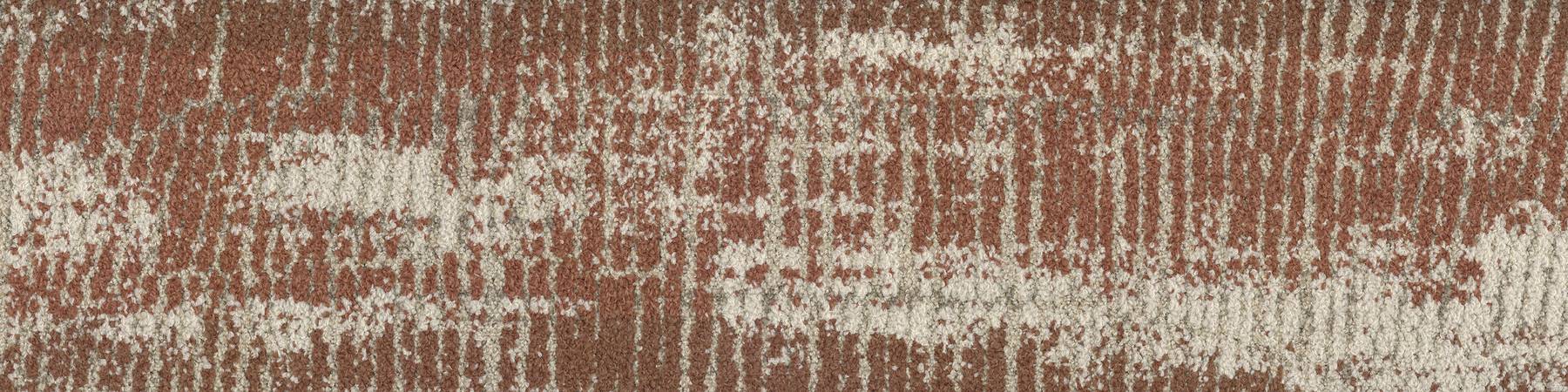 Terra Hue - Dune Driftwood