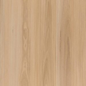Wood 2.5 - Flinders Blackbutt