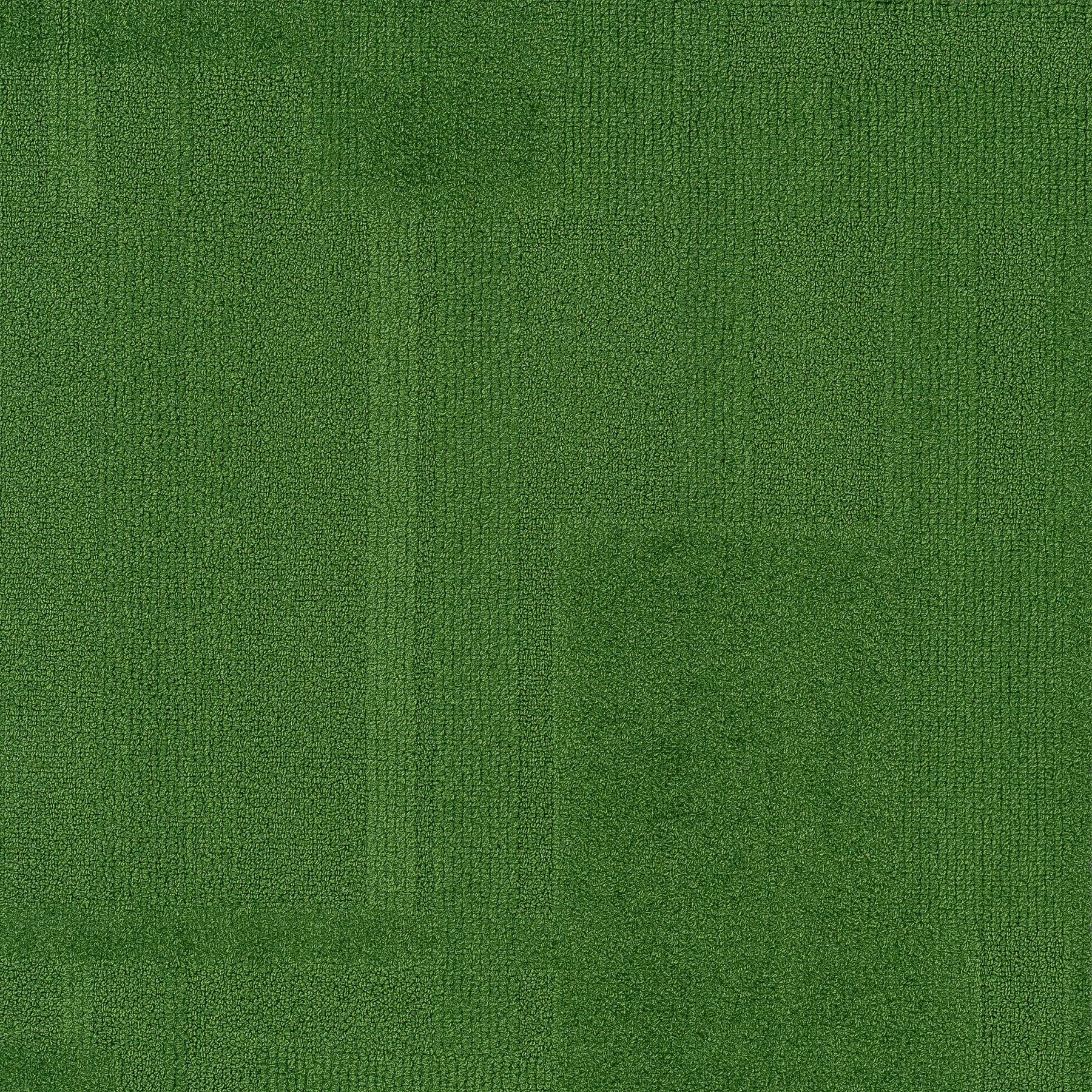 Vivid 202 - Fab Fern