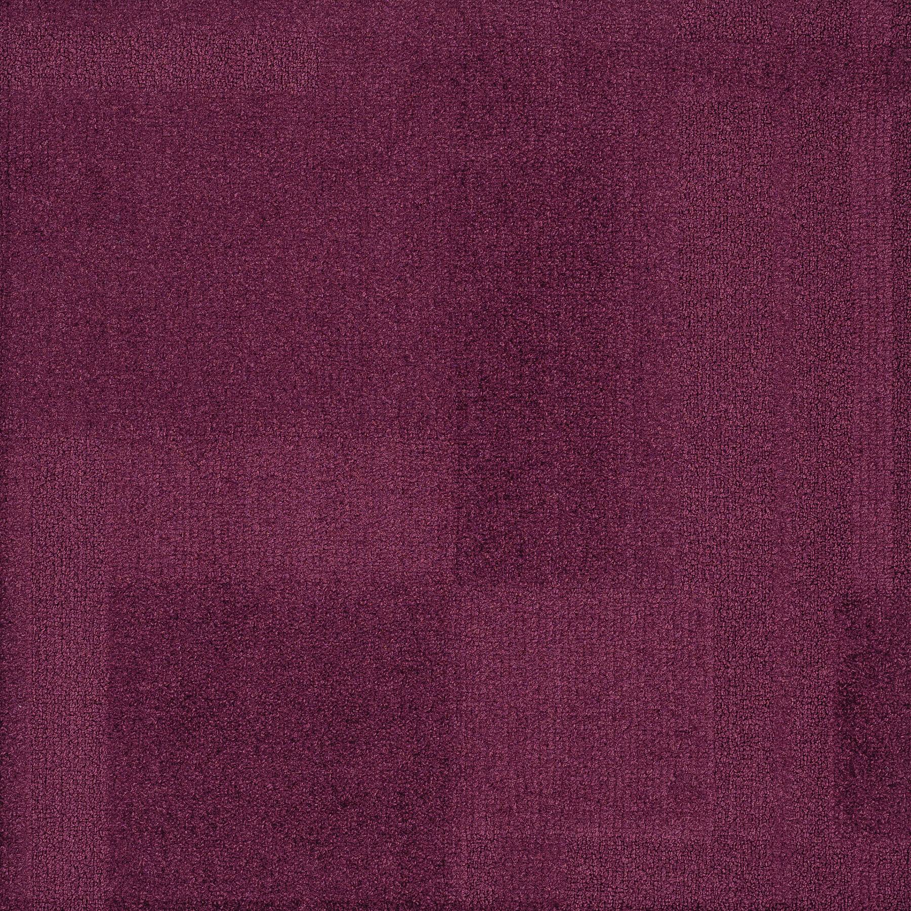 Vivid 202 - Fancy Pansy