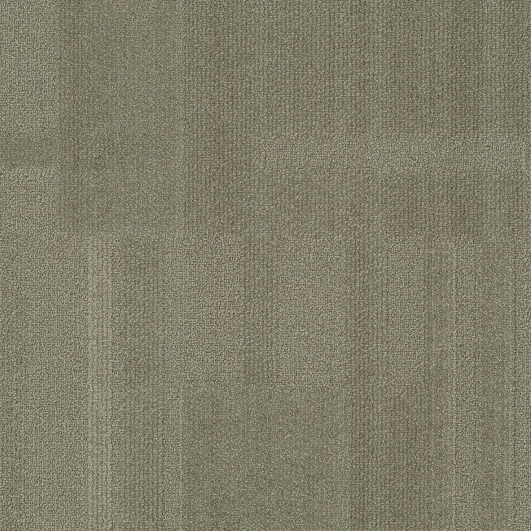 Vivid 202 - Fiddy Cent