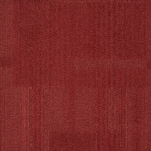 Vivid 202 - Fire Cracker