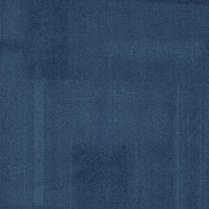 Vivid 202 - Frost Bite