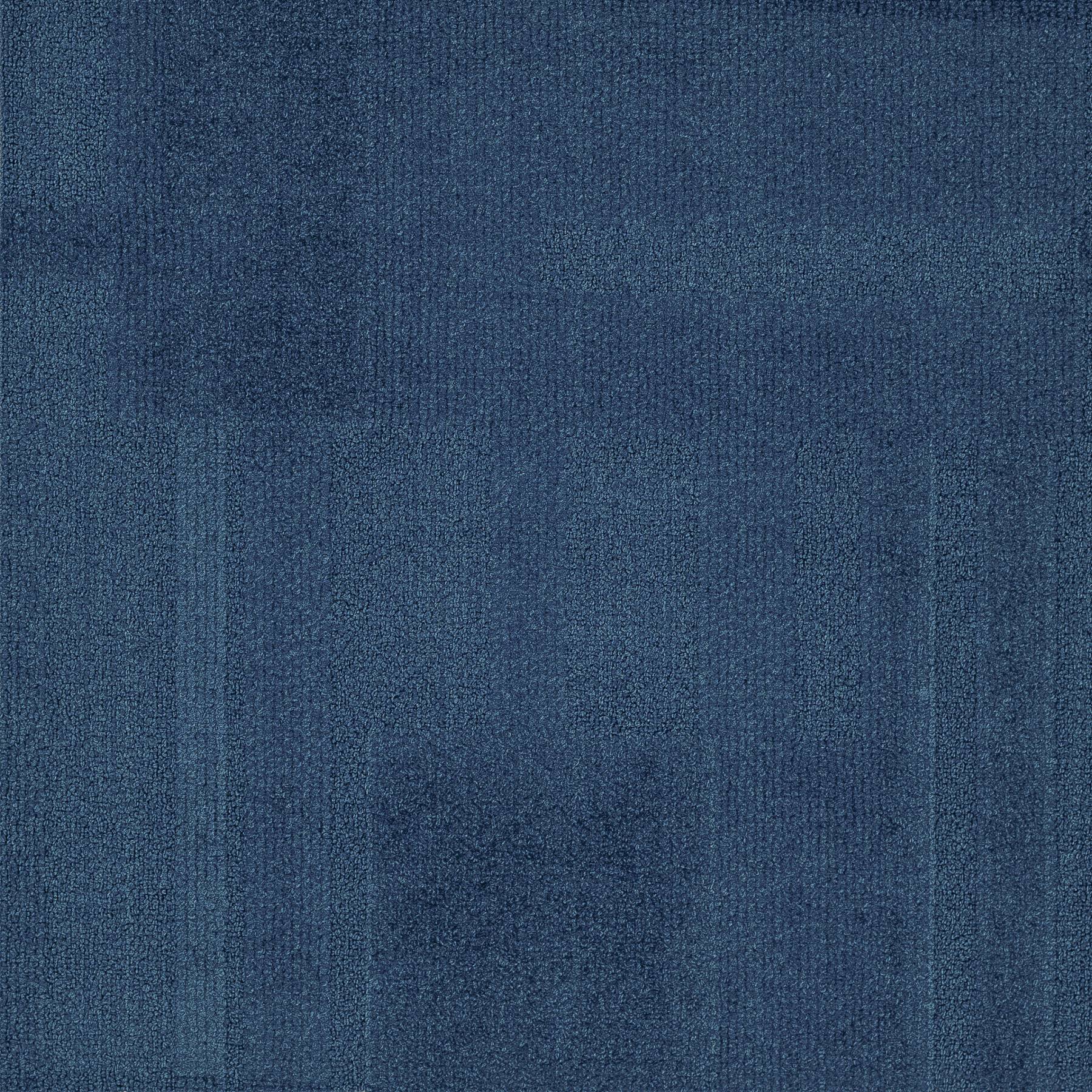 Vivid 202 - Frost Bite