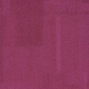 Vivid 202 - Fuchsia Fusion