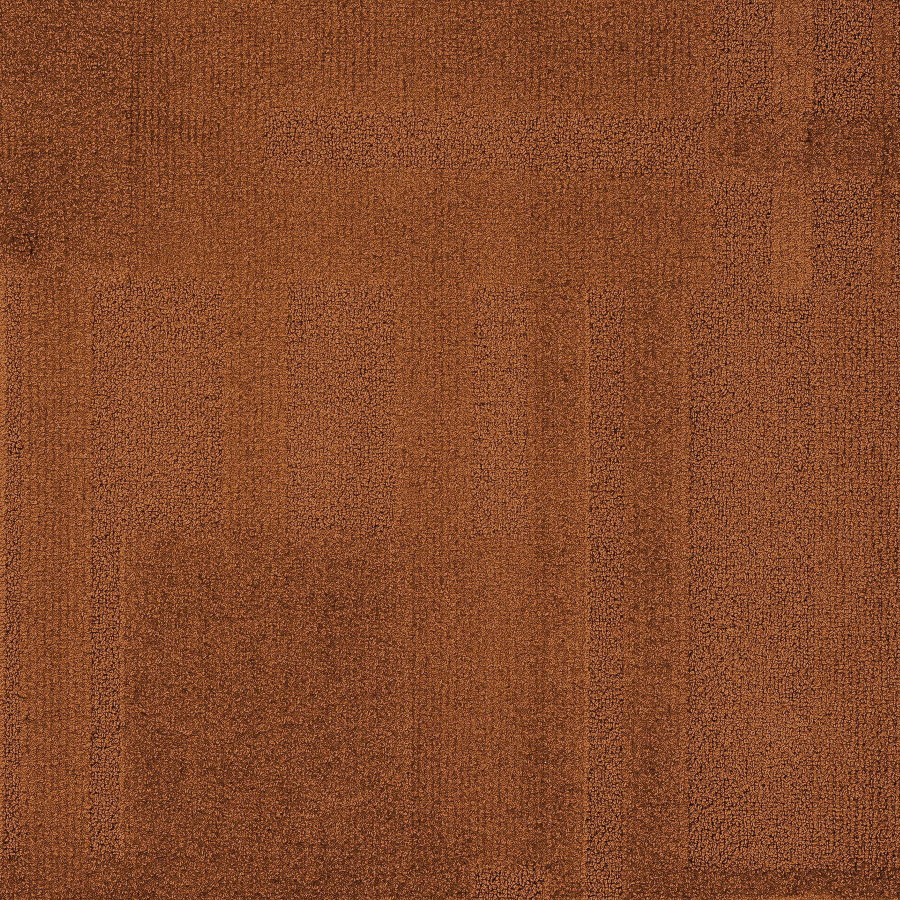 Vivid 202 - Ginger Ninja