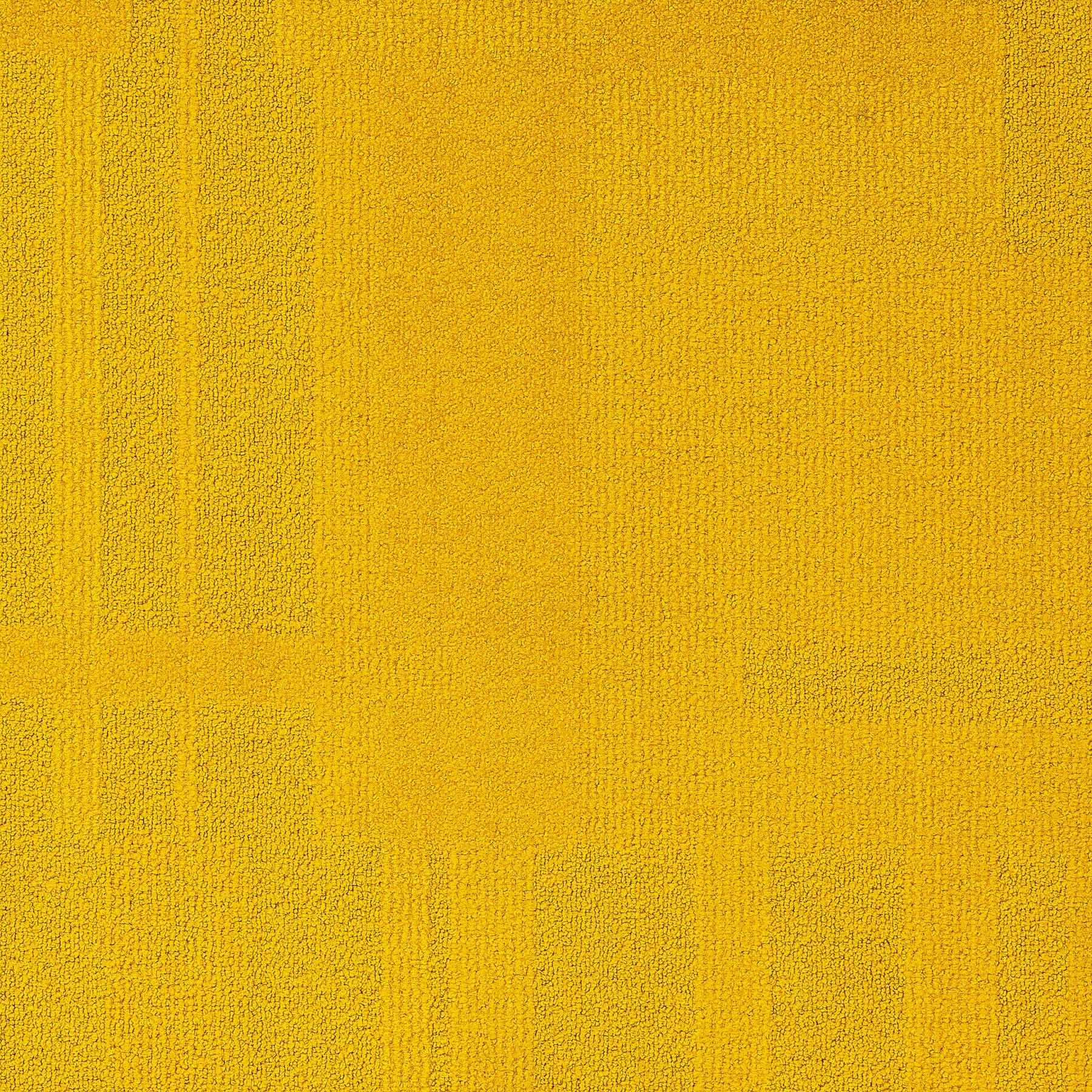 Vivid 202 - Goldy Locks