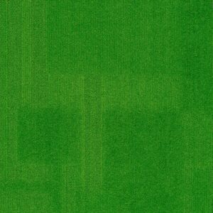 Vivid 202 - Grassy Knoll