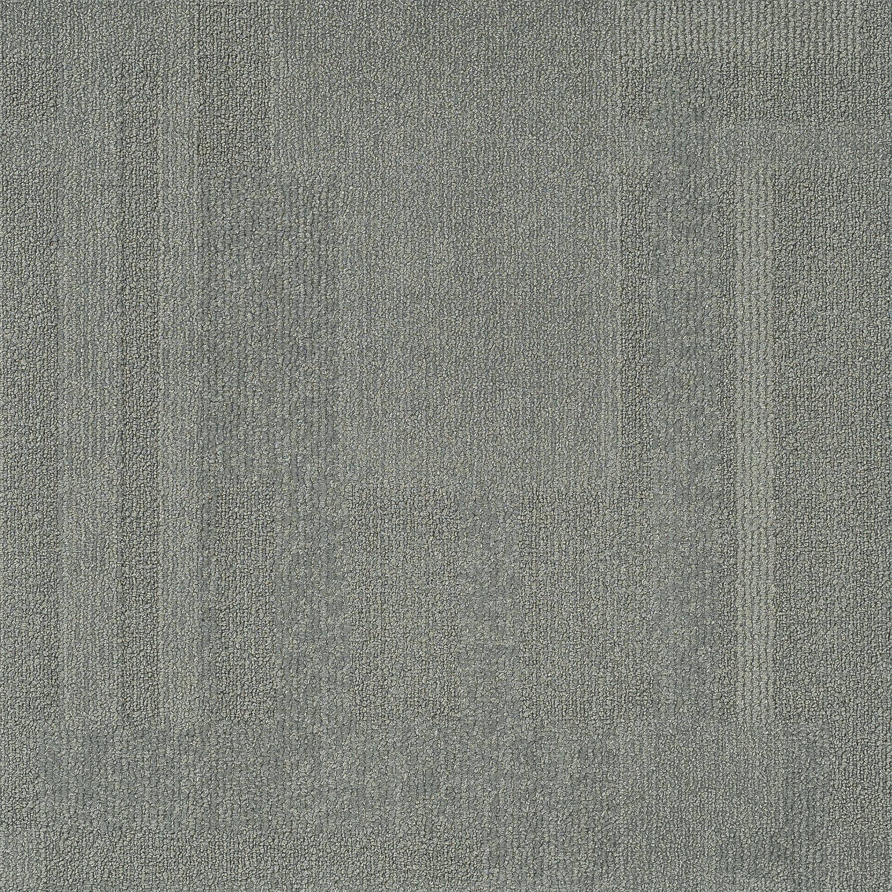 Vivid 202 - Grey Goose