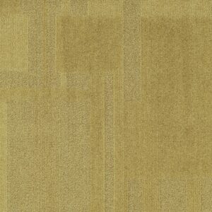 Vivid 202 - Hold Gold