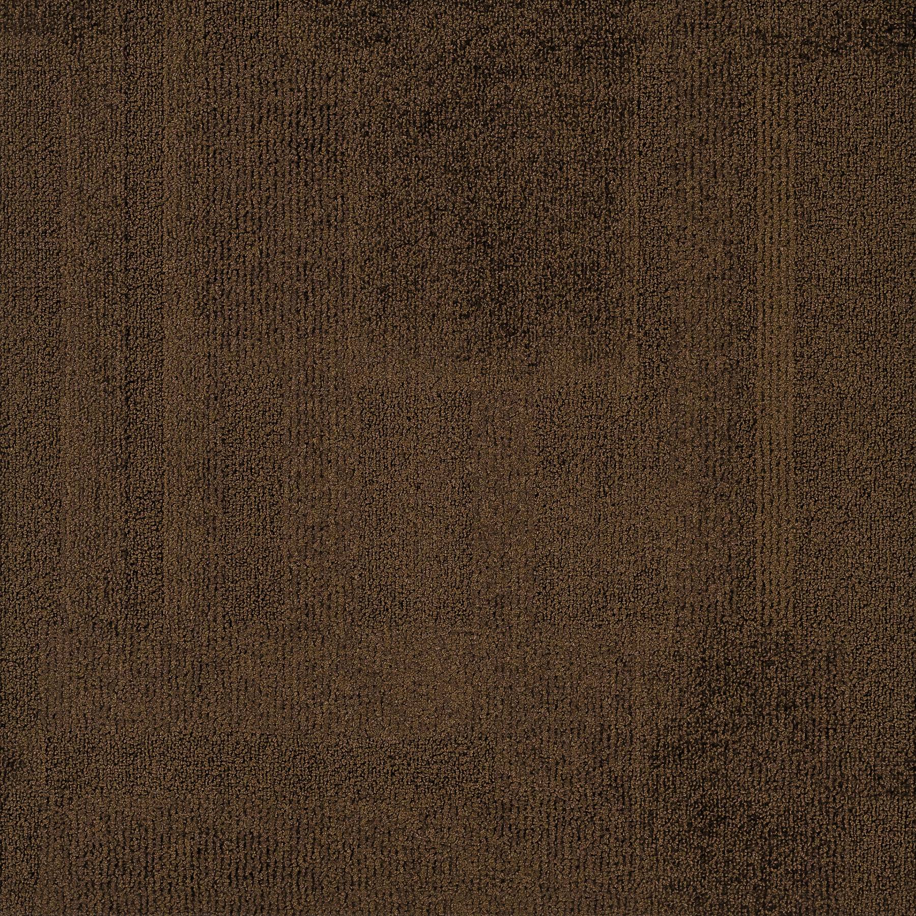 Vivid 202 - Hot Chocolate