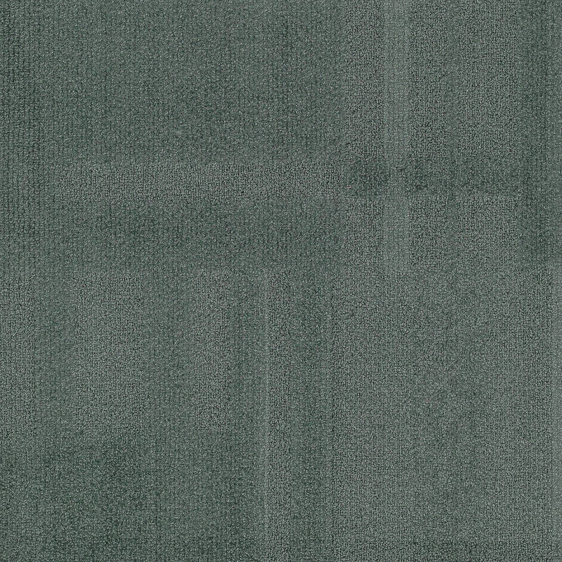 Vivid 202 - House Mouse