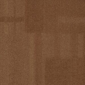 Vivid 202 - Humphrey Bear