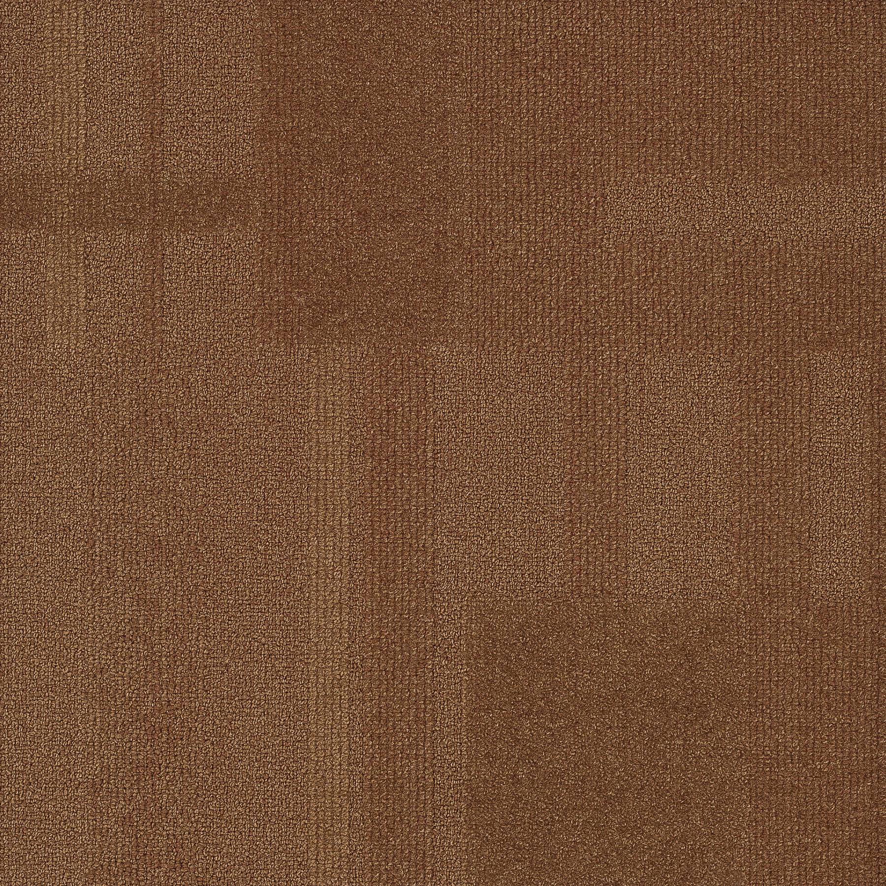 Vivid 202 - Humphrey Bear