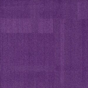 Vivid 202 - Iris Virus