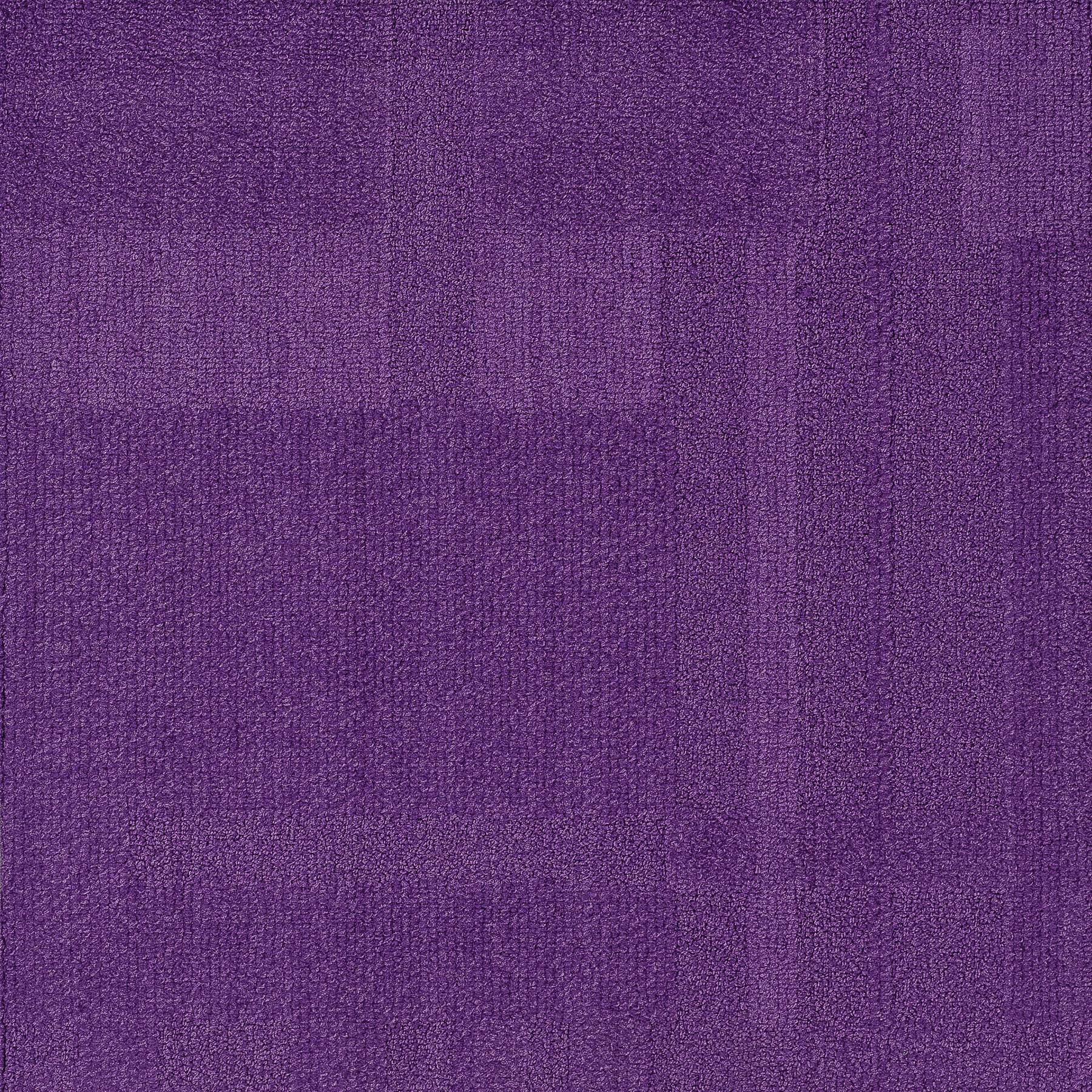 Vivid 202 - Iris Virus