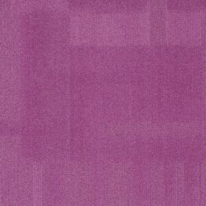 Vivid 202 - Lavender Field