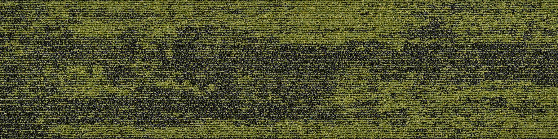 Compound - Lead Green