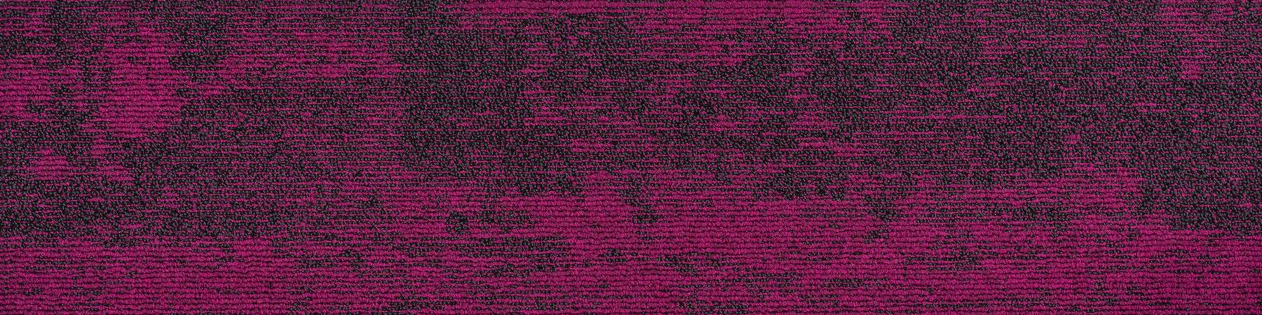 Compound - Lead Magenta