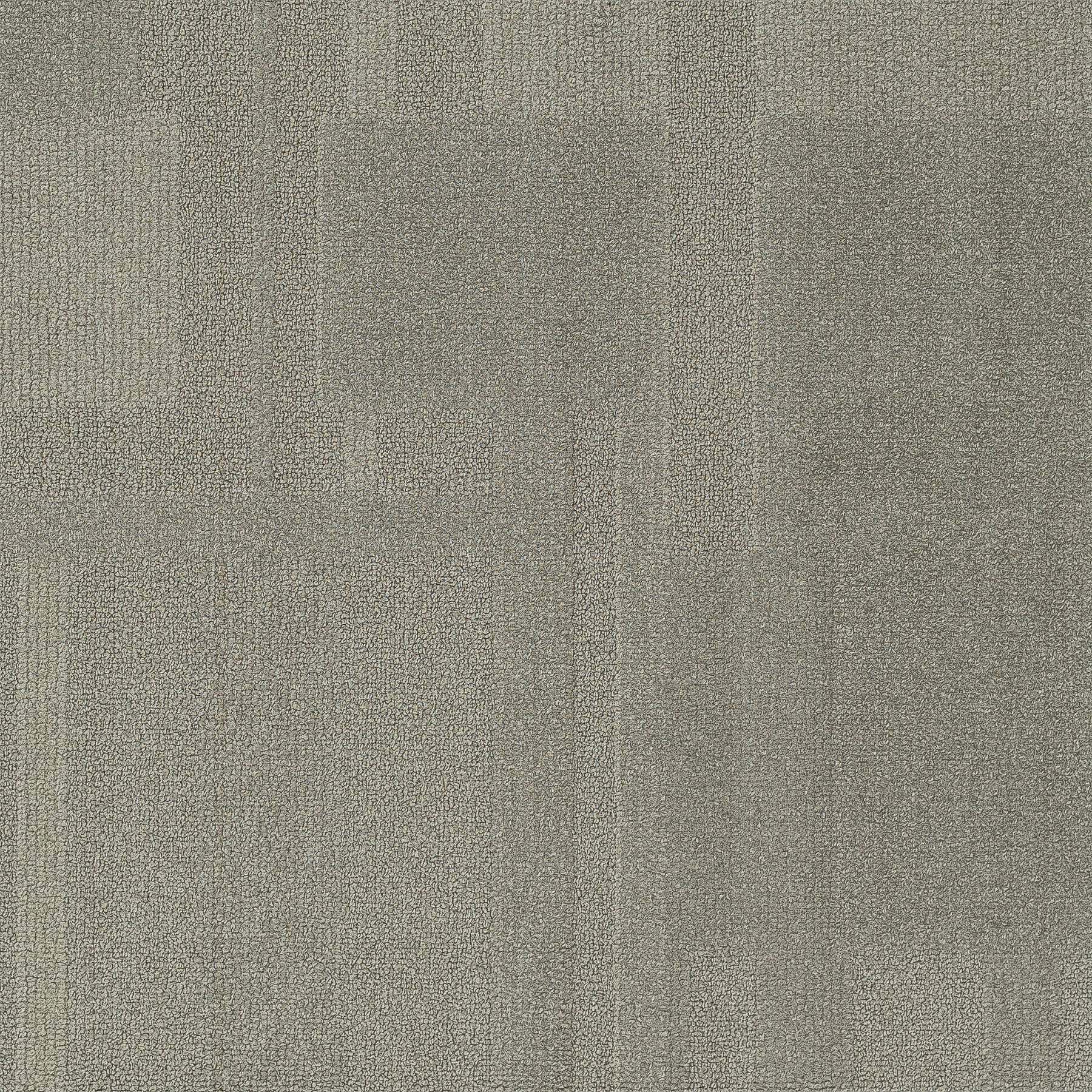 Vivid 202 - Let It Snow