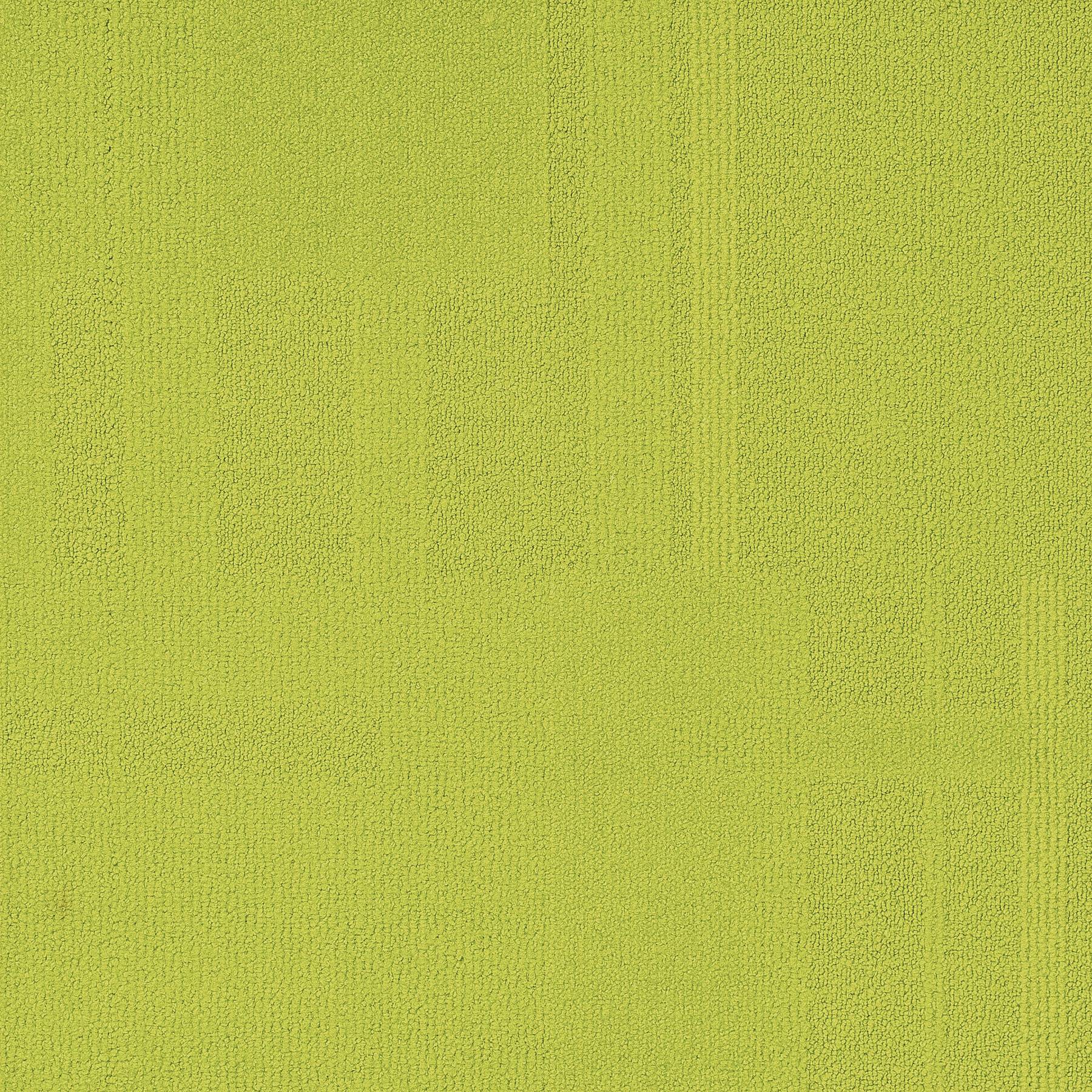 Vivid 202 - Lime Dime